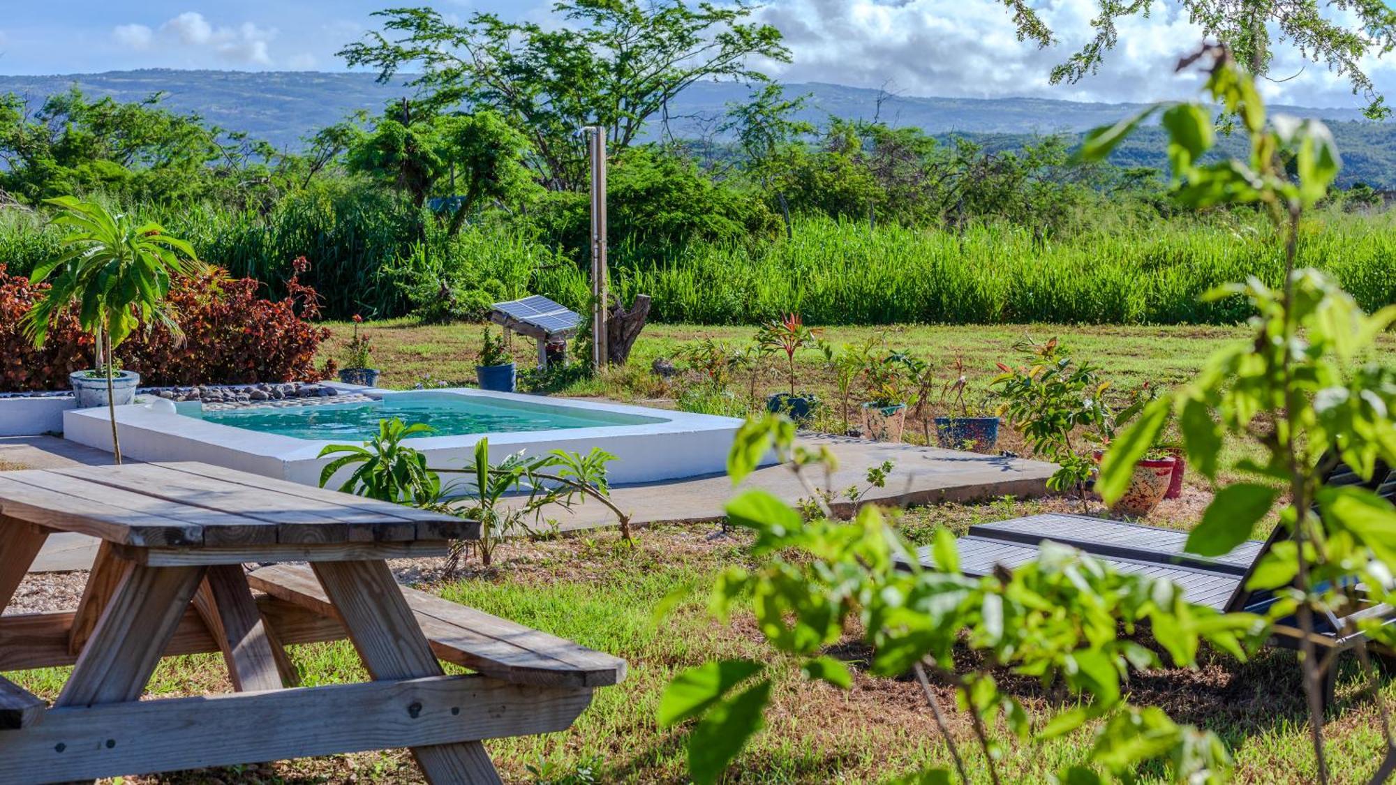 Cashaw Cabin - Private Retreat With A Pool Treasure Beach Kültér fotó
