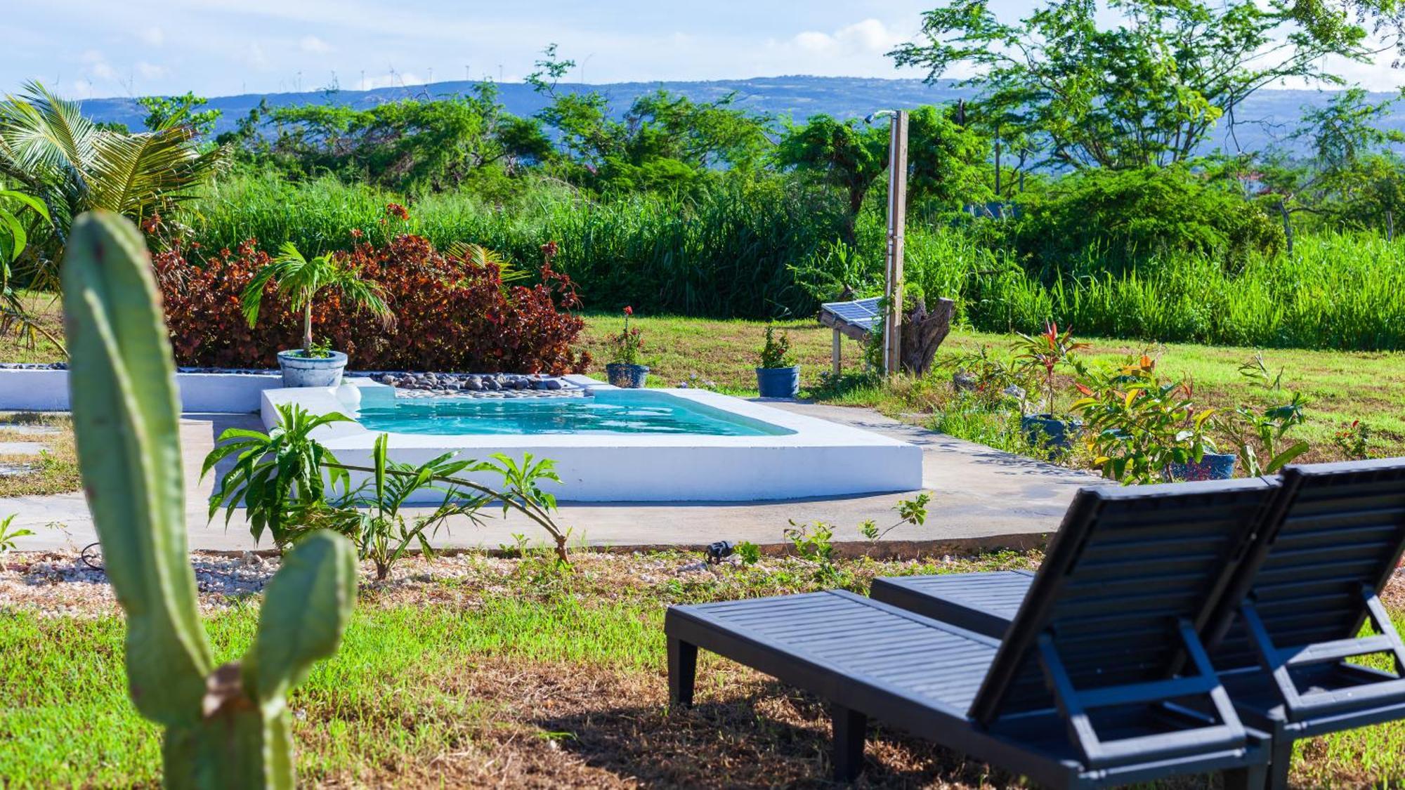 Cashaw Cabin - Private Retreat With A Pool Treasure Beach Kültér fotó